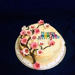 Bittersweet cakes are good quality and tasty cakes. All our cakes are baked in most hygienic way in our kitchen. All types cakes are available.